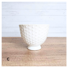 Load image into Gallery viewer, Faerie Flowerpot (3 Colors)