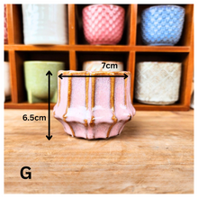 Load image into Gallery viewer, Petit Flowerpots (Series 7)