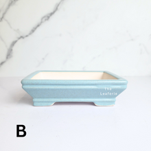 Load image into Gallery viewer, The Leaferie Petit bonsai series 47. 3 colours rectangular bonsai pot