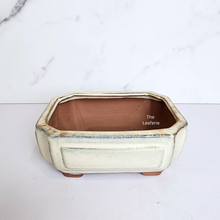 Load image into Gallery viewer, The Leaferie Bonsai Series 55 rectangular bonsai pots. ceramic material 6 colours