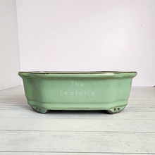 Load image into Gallery viewer, The Leaferie Tally Bonsai pot series 1 . 4 designs .front view o f Pot B