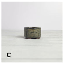 Load image into Gallery viewer, Petit Bonsai flowerpot (Series 17)