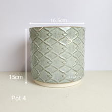 Load image into Gallery viewer, As-Is Pots Batch October 2023 (13 items)