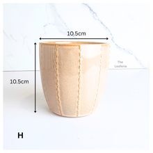 Load image into Gallery viewer, Mini Flowerpots (Series 12)