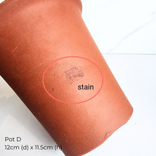 Load image into Gallery viewer, The Leaferie As-Is Feb 2025. 9 pieces items