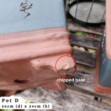 Load image into Gallery viewer, The Leaferie As-is Sale March 24. Pot D