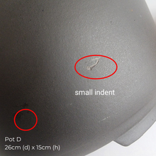 Load image into Gallery viewer, The Leaferie AS-IS Jan 25 . 9 new flowerpots