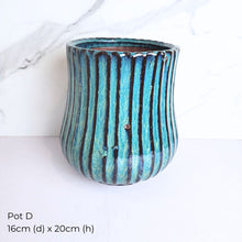 Load image into Gallery viewer, The Leaferie As-is Pot June 2025. 9 items