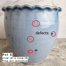 Load image into Gallery viewer, The Leaferie As-is Feb 24. Pot E