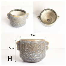 Load image into Gallery viewer, Petit Flowerpots (Series 11)