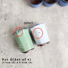 Load image into Gallery viewer, the Leaferie As-is september 2024. 12 pot