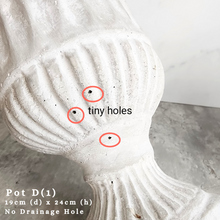 Load image into Gallery viewer, The Leaferie As-is august 24. 12 items