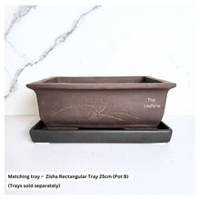 Load image into Gallery viewer, Bonsai Rectangular (Series 2)