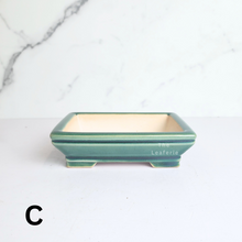Load image into Gallery viewer, The Leaferie Petit bonsai series 47. 3 colours rectangular bonsai pot