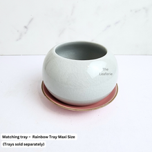 Load image into Gallery viewer, The Leaferie Indira round ceramic pot. 3 colours