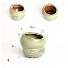 Load image into Gallery viewer, Petit Flowerpots (Series 19)