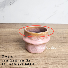 Load image into Gallery viewer, The Leaferie AS-IS Pots December 23. Pot 5