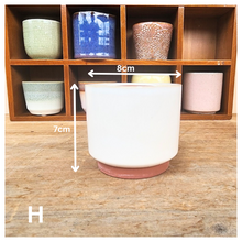 Load image into Gallery viewer, Petit Flowerpots (Series 8)