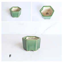 Load image into Gallery viewer, The Leaferie Bonsai pot series 81. hexagon ceramic pot. 5 colours