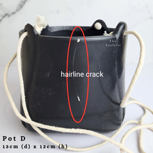 Load image into Gallery viewer, The Leaferie As-Is April 2024 flowerpots