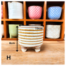 Load image into Gallery viewer, Petit Flowerpots (Series 7)