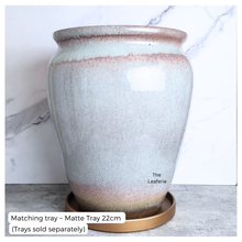 Load image into Gallery viewer, The leaferies Aures tall pot series 3 . 2 colours ceramic pot