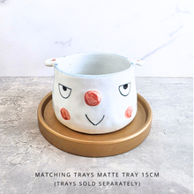 Load image into Gallery viewer, Vienne Hand-painted Flowerpot