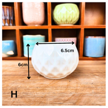 Load image into Gallery viewer, Petit Flowerpots (Series 6)