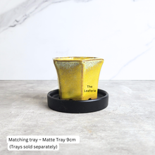 Load image into Gallery viewer, The Leaferie Petit Bonsai pots 76.. Hexagon shape a=with 4 colours.