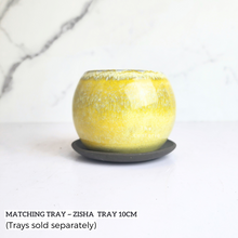 Load image into Gallery viewer, The Leaferie Petit Bonsai series 45. 5 colours ceramic pot for succulents