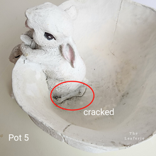 Load image into Gallery viewer, As-Is Pots Batch September 2023 (13 items)