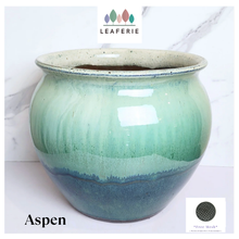 Load image into Gallery viewer, Aspen Large Flowerpot (2 designs)