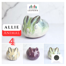 Load image into Gallery viewer, Allie Animal Flowerpots (Series 4)