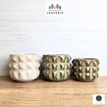 Load image into Gallery viewer, Antonia Flowerpot