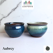 Load image into Gallery viewer, Aubrey Flowerpot (2 designs)