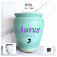 Load image into Gallery viewer, The leaferies Aures tall pot series 3 . 2 colours ceramic pot