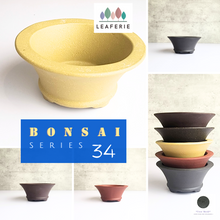 Load image into Gallery viewer, Bonsai Flowerpot (Series 34)