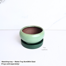 Load image into Gallery viewer, Bonsai Flowerpot (Series 25)