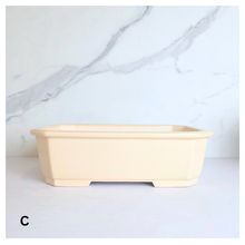 Load image into Gallery viewer, Bonsai Tally (Series 9) Rectangular Flowerpot