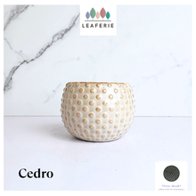 Load image into Gallery viewer, Cedro Flowerpot