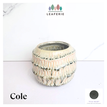 Load image into Gallery viewer, Cole Flowerpot