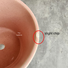 Load image into Gallery viewer, the Leaferie As-is september 2024. 12 pot