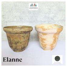Load image into Gallery viewer, Elanne Flowerpot