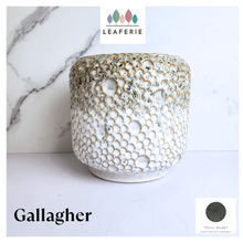 Load image into Gallery viewer, Gallagher Flowerpot