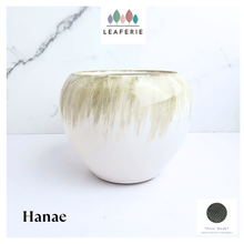 Load image into Gallery viewer, Hanae Flowerpot