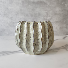 Load image into Gallery viewer, The Leaferie Haruka plant pot. ceramic . front view .close up