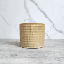 Load image into Gallery viewer, The Leaferie Iria yellow planter. ceramic material . front view