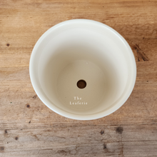 Load image into Gallery viewer, The Leaferie tall chinoserie plant pot. top view