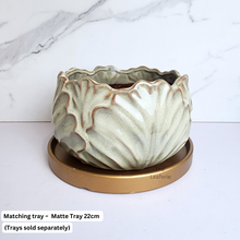 Load image into Gallery viewer, The Leaferie Kolden Shallow pot. ceramic material and beige colour.
