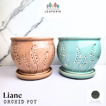 Load image into Gallery viewer, Liane Orchid Flowerpot with holes and matching tray